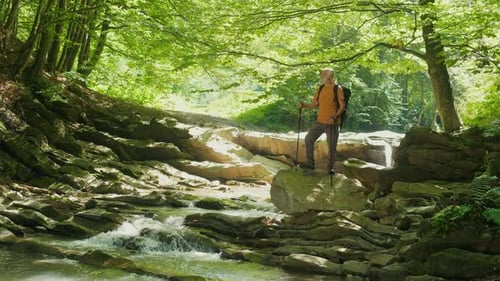 Senior Male Hiker with Backpack Nordic Walking Poles Standing on a Large Rock