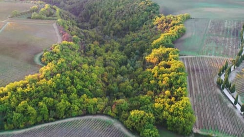 amazing sunrise over beautiful hills forests fields and vineyards of Tuscany, Italy. Aerial view