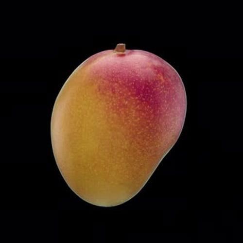 Rotating 3D mango - Seamless Endless Loop in 4K