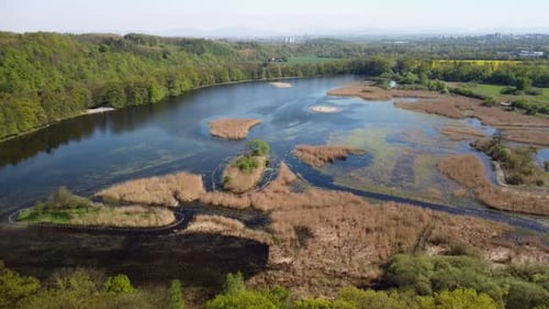 Waldteich in der Sommernatur Nezmar, Tschechien 4K