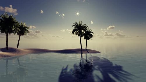 Wunderschöner Sonnenuntergang am Meer mit Palmen
