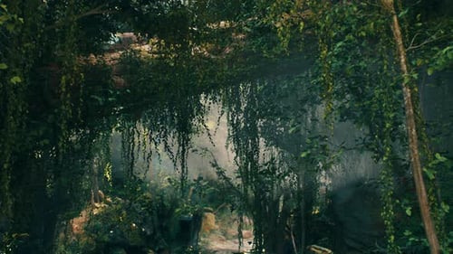 Misty Green Forest in Morning Light