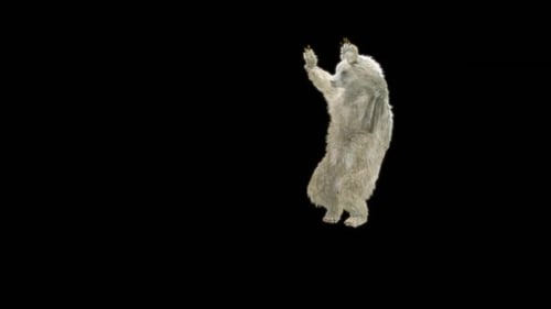 Dancing White Bear Cub Animation with Alpha Channel