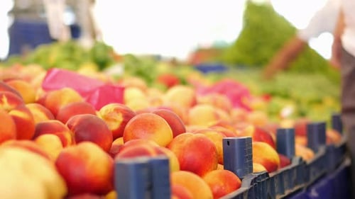 Frutas frescas en un mercado vibrante en verano
