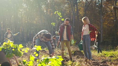 Males and Females Planting Trees As Seedlings in Field at Forest and Cooperating for Safe Nature