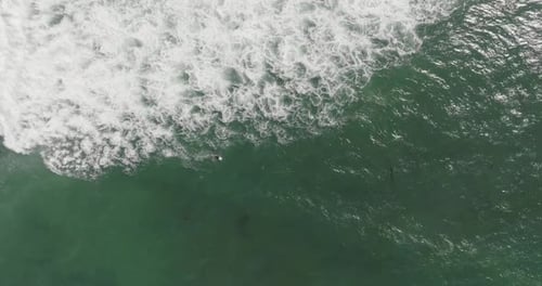 a group of people in the ocean