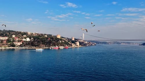 Wide Angle Drone View of Seagulls, Rumeli Fortress and Bosphorus Bridge