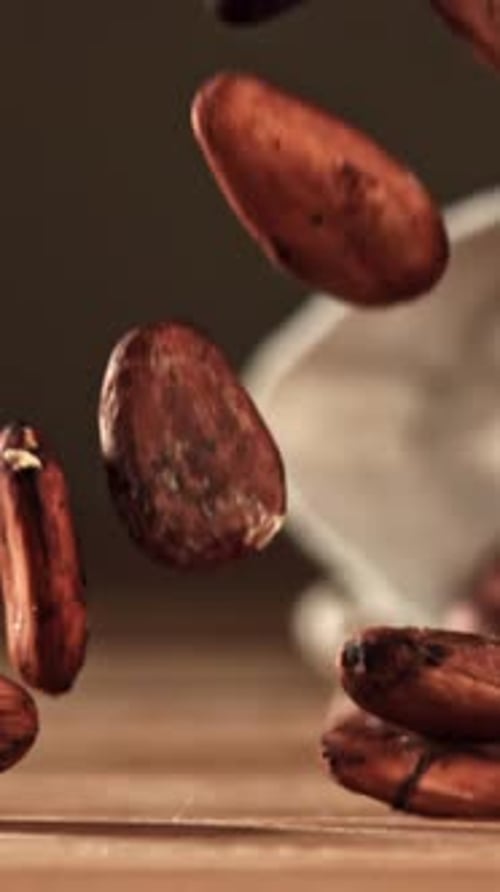 Cocoa Beans Fall on the Table Filmed on a Highspeed Camera at 1000 Fps