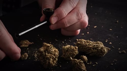 Dried Herb Packed into Pipe with Hands