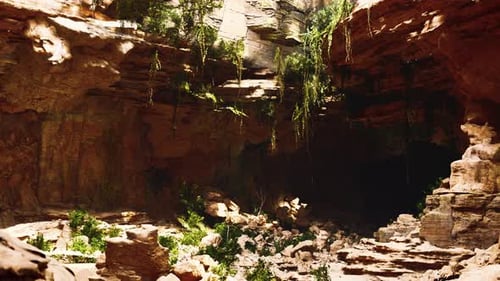 Large Fairy Rocky Cave with Green Plants