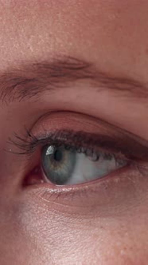 Closeup, makeup and eye with vision for beauty, mascara and eyelash extension results for aesthetic