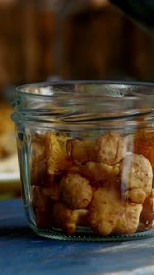 Vertical View Of Mushrooms
