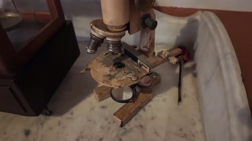 Pioneering 19th Century Microscope, Worn by Time