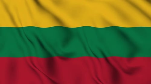 Realistic Waving Yellow Green Red Flag Loop