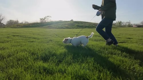 A Woman Run Together with Her Dog in the Park Travel Concept Close Up Footage on Sunset Time Slow
