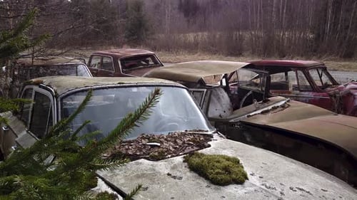 Tilt down shot of rusty and dirty vintage cars in a scrapyard.