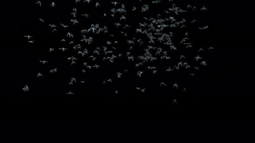 Abstract Geometric Flock of Crystalline Birds Flying Animation
