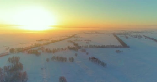 Aerial Drone View of Cold Winter Landscape with Arctic Field Trees Covered with Frost Snow and