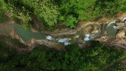 Aerial footage of small river in the forest