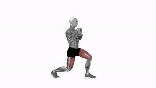 Animated Lunges Exercise with Muscle Activation Display