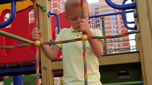 Child Boy Climbed on Top of the Rope Web on Playground