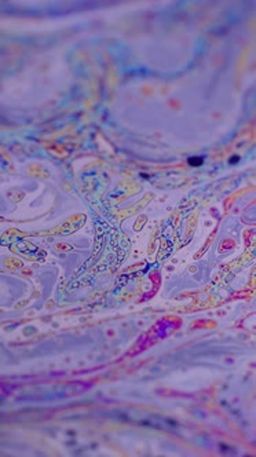 Abstract Swirls of Color and Texture