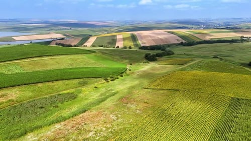 Rolling hills, green fields. Expansive green fields stretch across the countryside