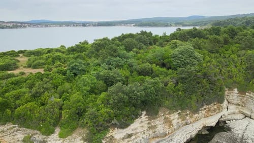 aerial forest sea