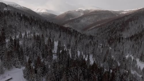 Aerial View Flying Over the Forests in the Wintertime Mountains While Snowing