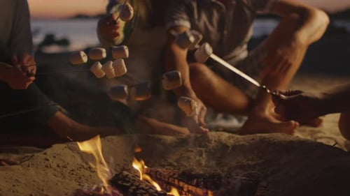 Group of People near Campfire Frying Marshmallows at Night