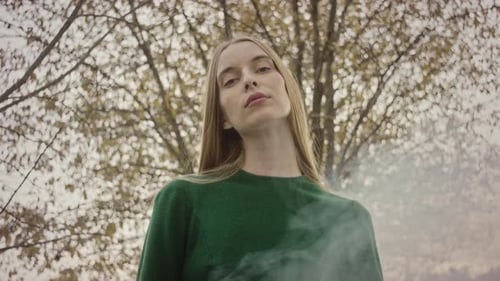 Elegant Woman in Green Dress Surrounded by Smoke