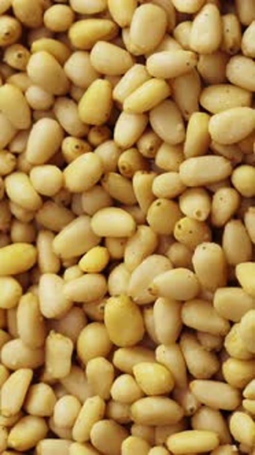 Pine Nuts Background Unshelled Cedar Seeds Closeup Rotate Vertical