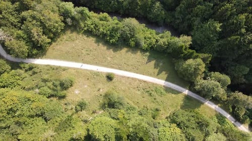 Drone view of a forest path in the countryside. Aerial view from above - Dolly Back Shot