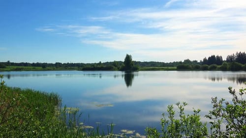 Nature Of Lake Misnitsko 31