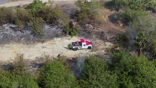 Firefighters Battle a Vegetation Fire Burning Through Dry Forest in Florida During Drought Season As