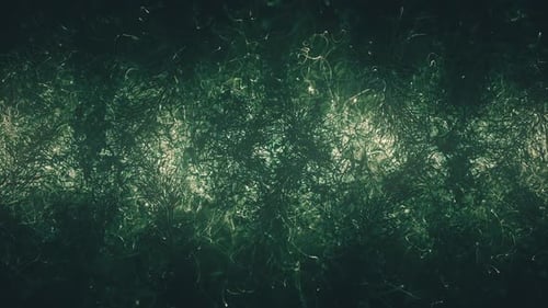 Chaotic Dark Nightmare