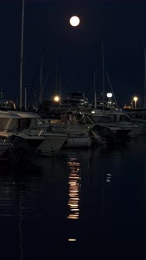 Boats docked on the sea in the evening with the moon up in the sky. Vertical