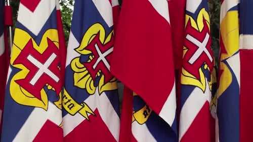 Scouts Flags