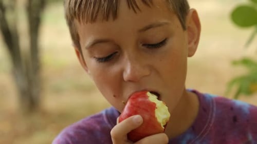 Happy Boy Eating Apple Outdoors