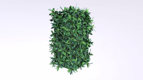Hedge Long 3d object rotating loop