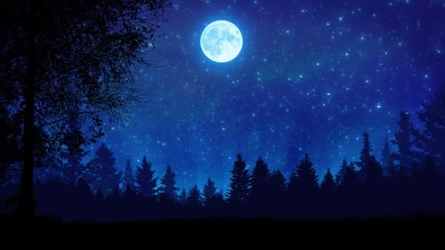 Mond im tiefblauen Nachthimmel über dem Wald