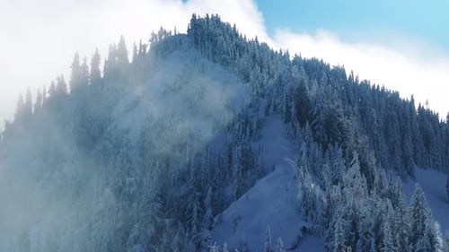 Sunny Frozen Winter Fir Forest Mountain Peak Background Winter Range Landscape