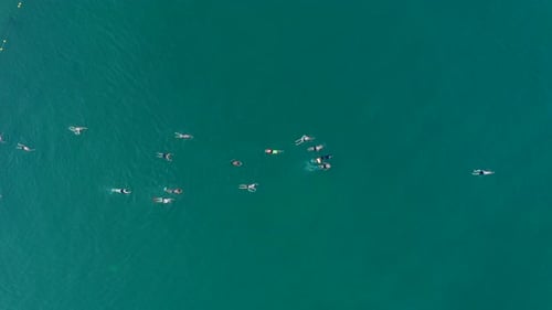 Large group of Swimmers crossing the Sea of Galilee, Aerial view