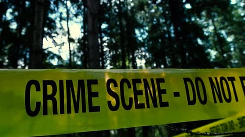 Yellow Crime Scene tape surrounding a forest investigation area during a sunny day, close up video.