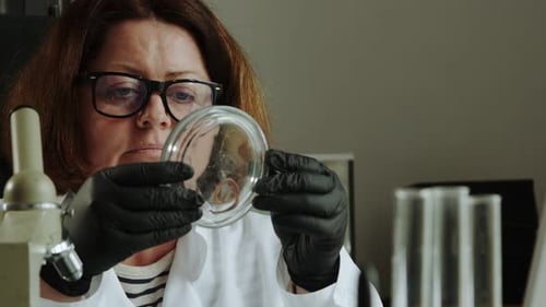 Slow Motion Woman in a White Coat and Glasses Examines an Annelids in a Petri Bowl Against the