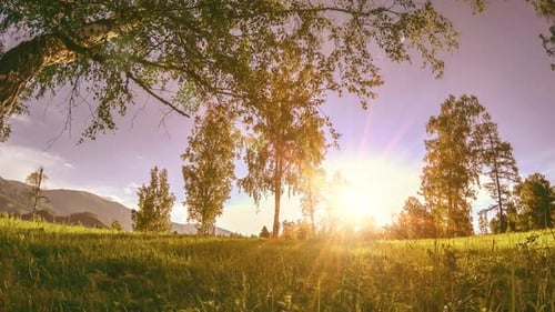 Mountain Meadow Timelapse at the Summer or Autumn Time Wild Nature and Rural Field Motorised Slider