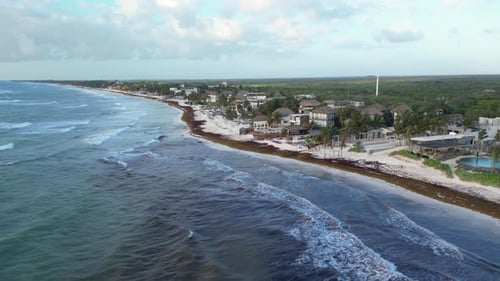 Une plage du Mexique recouverte d'algues du Golfe ruinant les magnifiques plages de sable