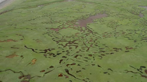 Luftbild eines kleinen Sees mit Grün- und Braunalgen