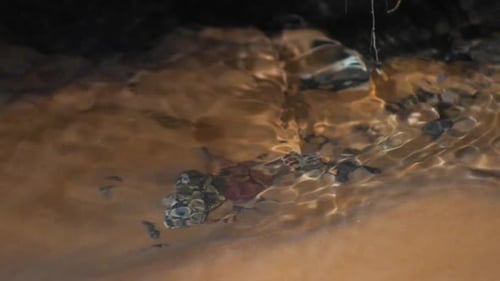 Transparentes Quellwasser fließt durch die Felsen und den Sand. Waldwasserquelle.