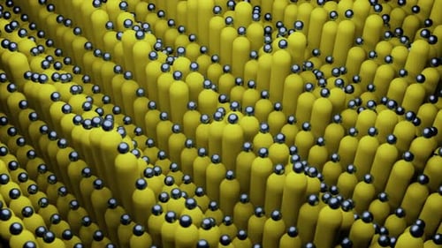 Yellow small sticks